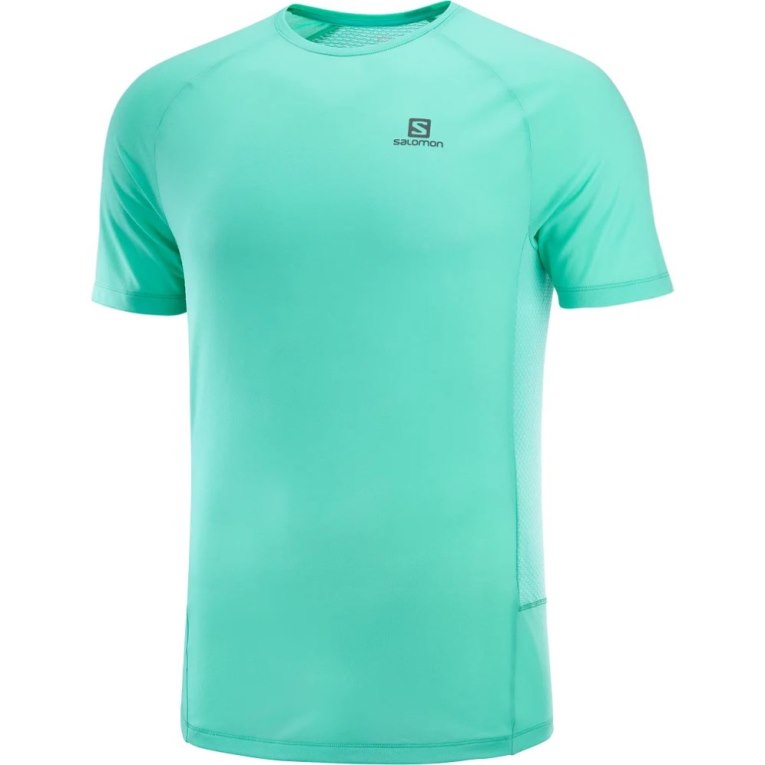 Turquoise Salomon Cross Rebel Short Sleeve Men's T-Shirts | PH 40859E